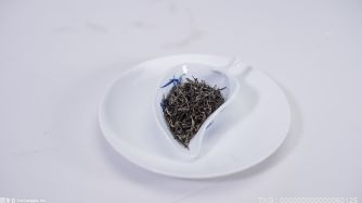 崂山茶排名退至鲁茶第三 种植面积和产量不占优势