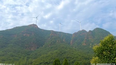喜訊！國家能源集團金沙江上游旭龍水電站項目獲批建設