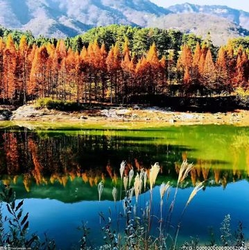 大力推广“郝氏造林法” 今年邢台市将造林56万亩