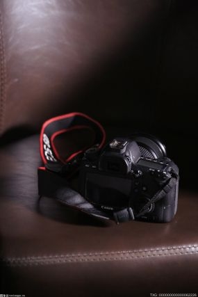 尼康發布兩款鏡頭和一款相機的新固件更新 支持手動對焦