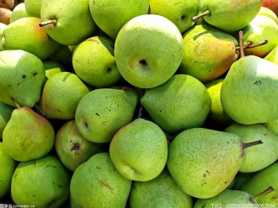 梨子的功效与作用有什么？梨生吃和熟吃的区别
