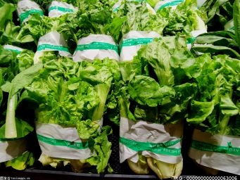 气温回升 春菜大量上市 常州市蔬菜价格有所回落