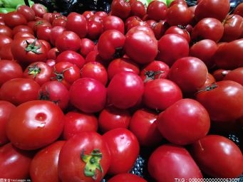 为什么番茄越来越不好吃？吃西红柿有哪些好处？