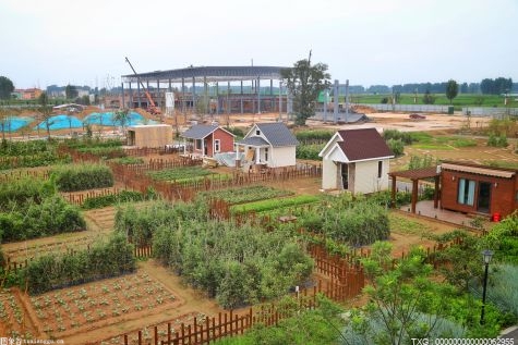 吉林省松原市：今年计划实施保护性耕作802万亩