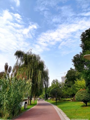 2021年莆田市新增公园绿地面积70.2公顷 完成35个口袋公园、25处立体绿化