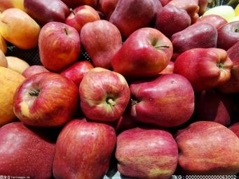 下花园区分批收购 帮助苏家房村农户销售红薯苹果3万余斤