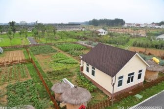 重庆梁平大力推进水稻生产规模化 保障国家粮食安全和促进乡村振兴
