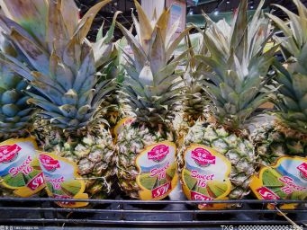 凤梨多少钱一斤 凤梨与菠萝有什么区别