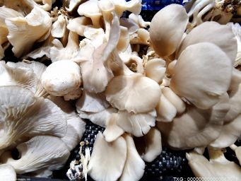 经常吃蘑菇有哪些好处？如何搭配蘑菇最好？