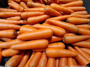 十里村胡萝卜种植面积达到8000多亩 年创利润5300多万元