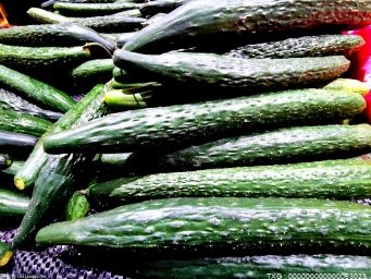 喝奶粉長大的黃瓜你吃過嗎？揚子晚報愛心助農為農產品打開銷路