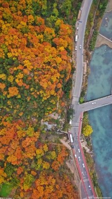 南京栖霞山枫叶什么时候最好看？南京栖霞山红叶观景指南