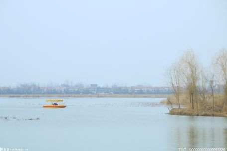 夏日將至戲水者增多 武漢江灘岸邊能否增設救生圈放置點？