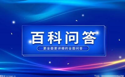 深圳举行数字深圳与互联网基因主题论坛 正式开启全民数字素养与技能提升活动月